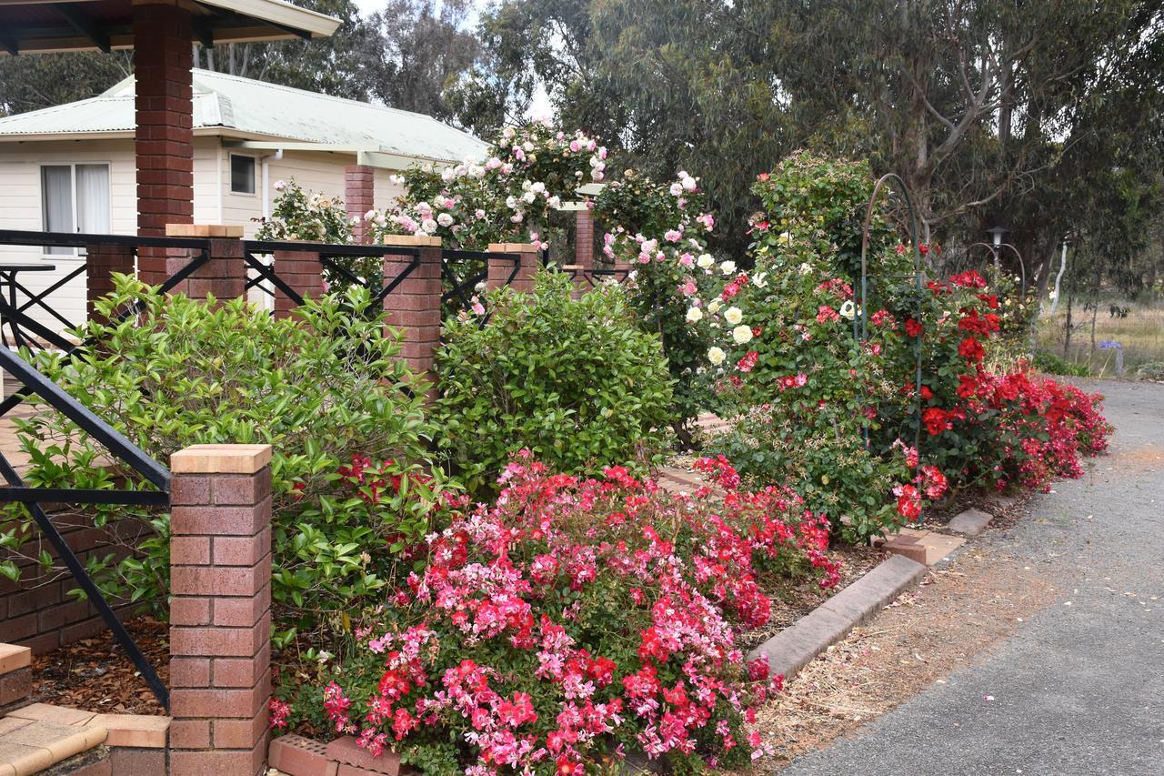 Mount Barker Valley Views Motel & Chalets, Western Australia 외부 사진