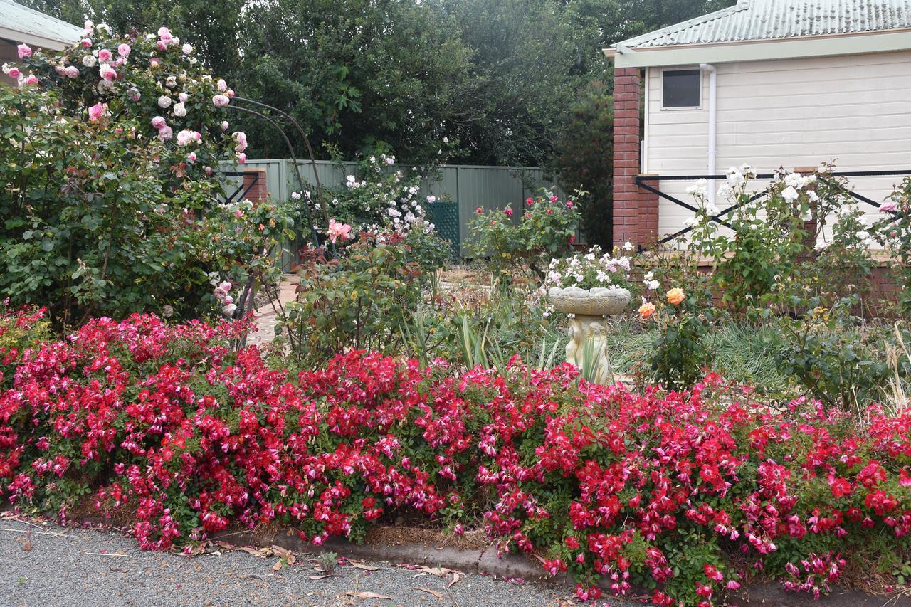 Mount Barker Valley Views Motel & Chalets, Western Australia 외부 사진